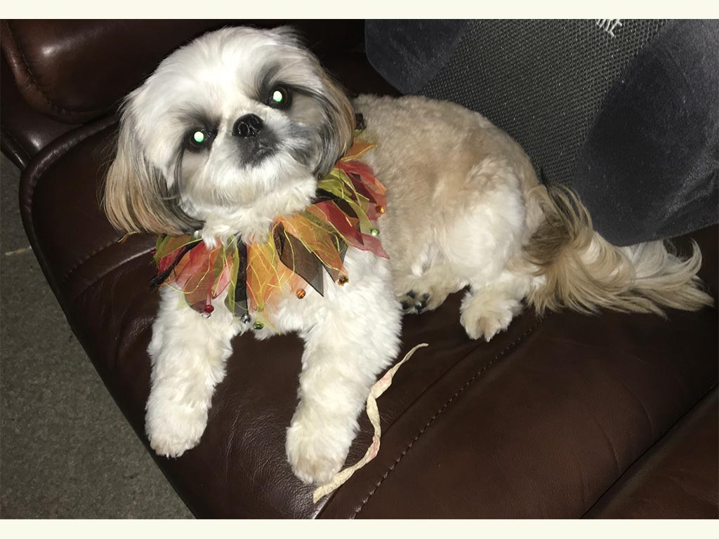bailey-kf.jpg